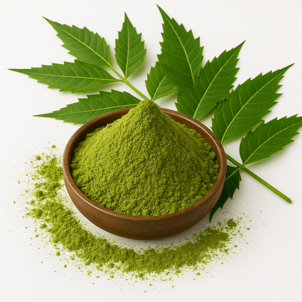 Top Exporter in India | Glee Impex